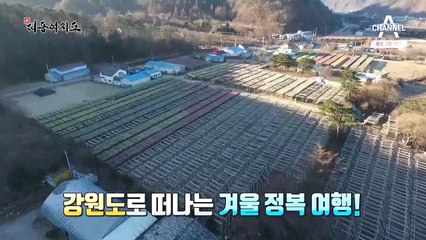 [예고] 명절에만 일하고 4억을 버는 비법은?