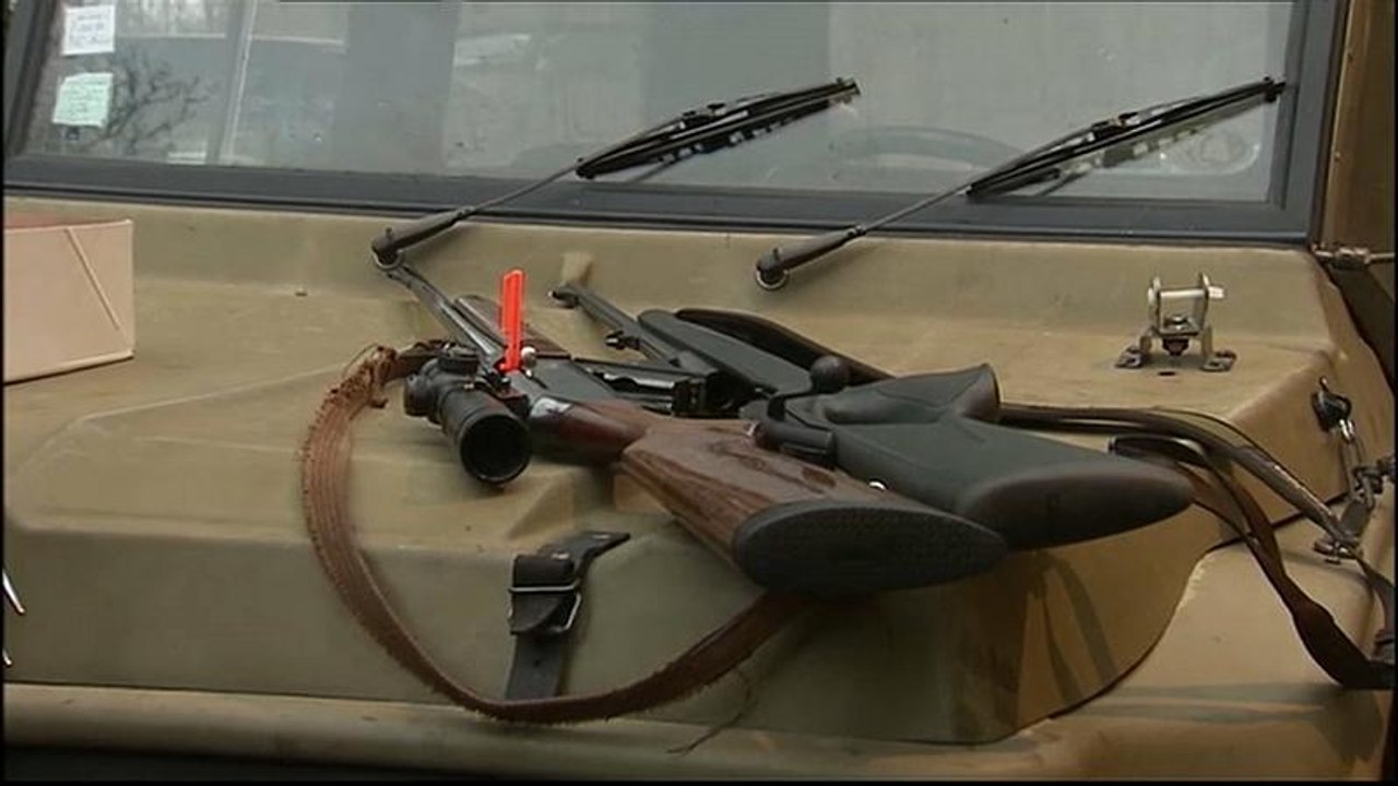 Jagd auf Waschbären & Co ohne Schonzeit fordert die FDP