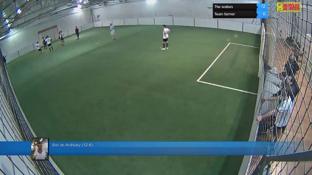 But de Anthony (12-6) - The wailers Vs Team farmer - 31/01/19 20:00 - Ligue A - Poitiers Game Parc