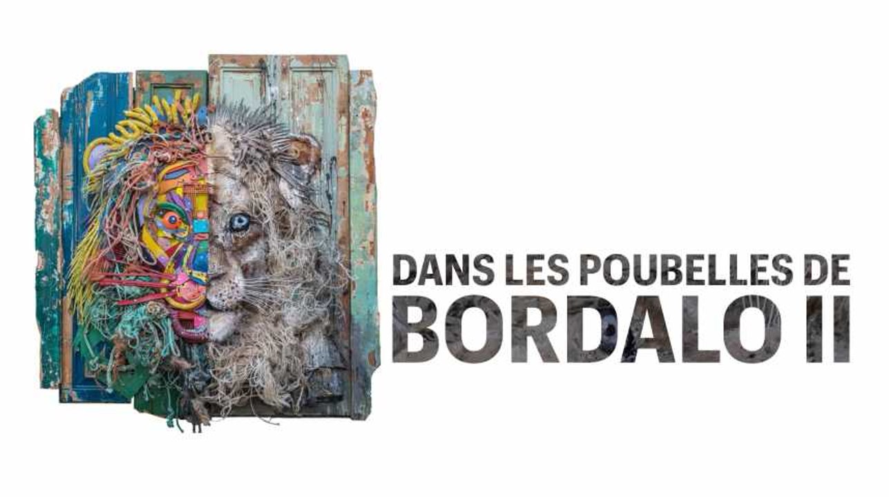 Dans les poubelles de Bordalo II