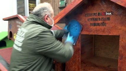 Esenyurt Belediyesi’nden sokak hayvanlarına sıcak yuva