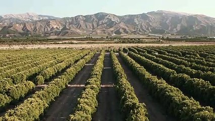 천안출장안마 {Ø7Øx7575xØØ77}【카톡VVV75】천안출장샵'예약'천안출장마사지 천안여대생출장 천안여고생출장 천안콜걸샵