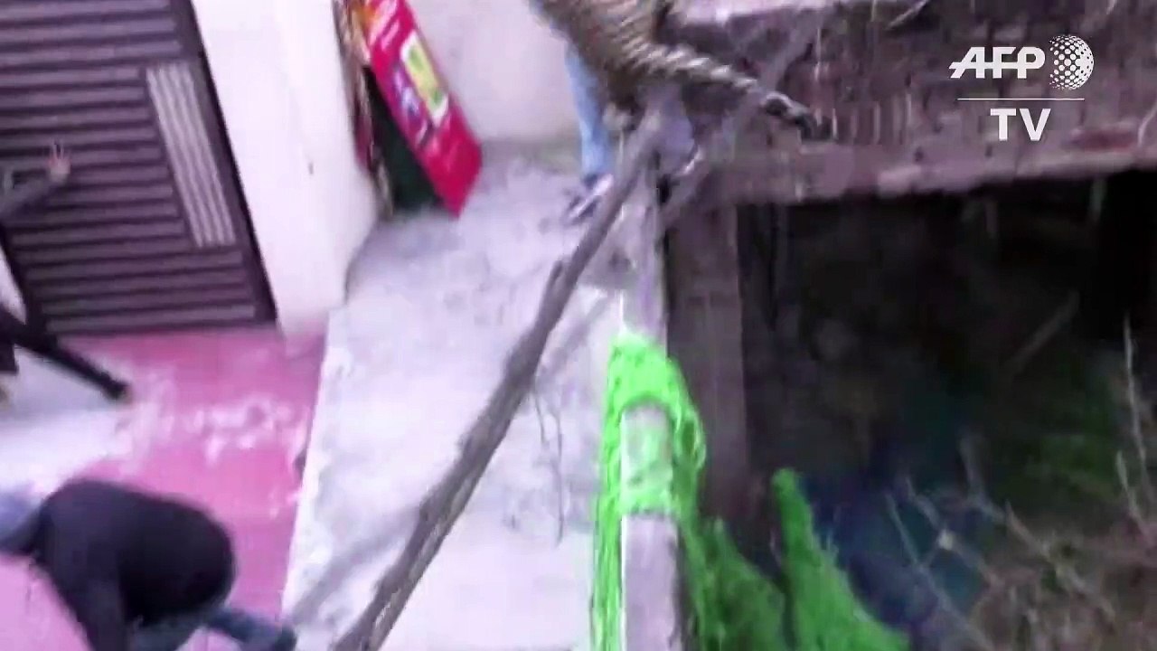 Leopard versetzt indische Stadt in Panik