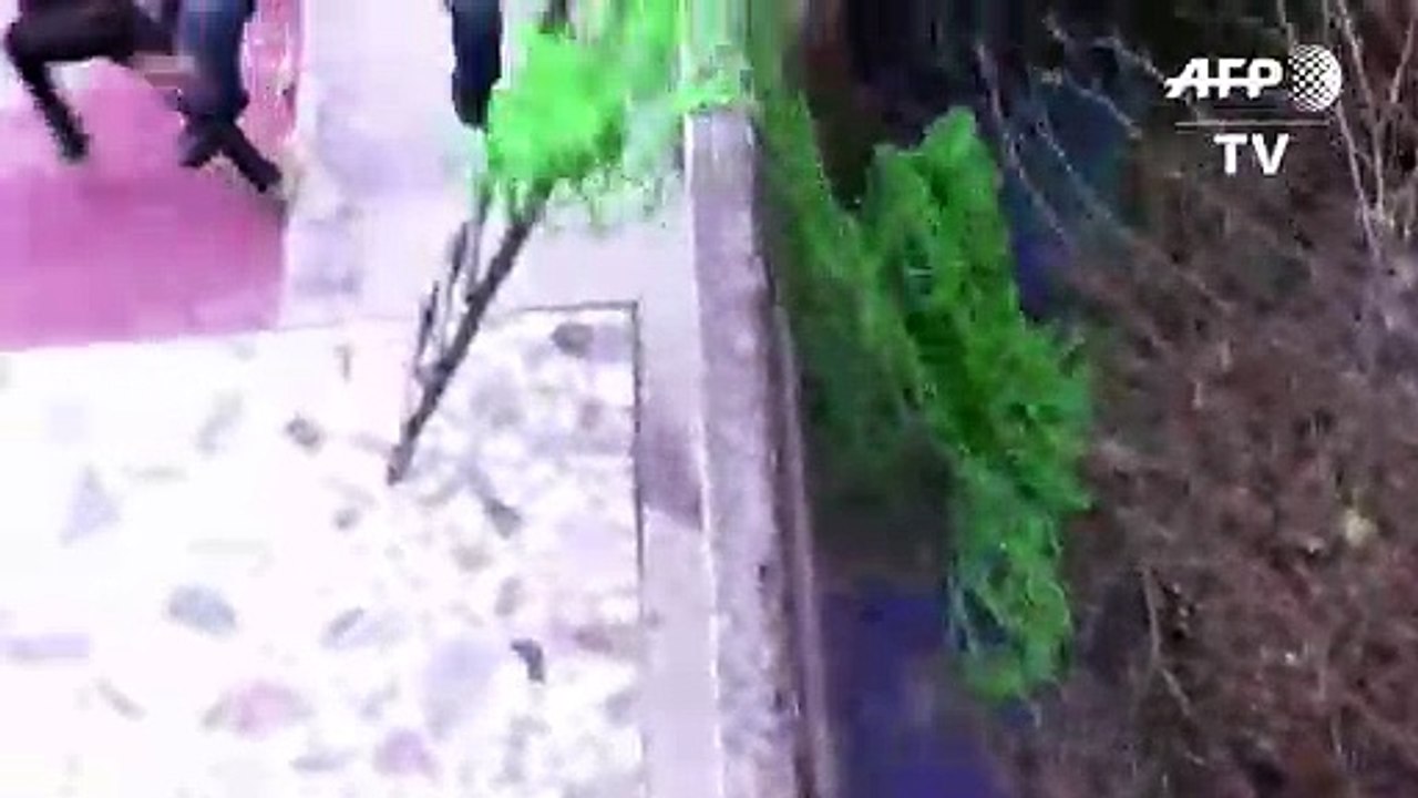 Leopard versetzt indische Stadt in Panik