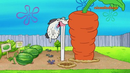 Bob l'éponge | Le coup du lapin | Nickelodeon France