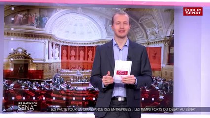 Best of Loi PACTE - Les matins du Sénat (01/02/2019)