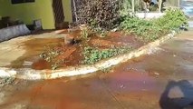 Moradores registram vazamento de água no Clarito