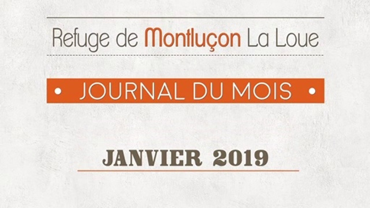 Un mois au refuge SPA de Montluçon : janvier 2019