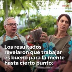 Los mayores de 40 años no deberían trabajar más de 3 días a la semana