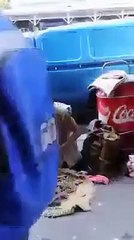 Elle brutalise un sans-abri en public mais va finalement avoir ce qu'elle mérite