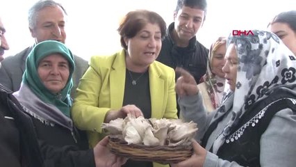 İzmir Kadınlar İstiridye Mantarı Üretimini Sevdi