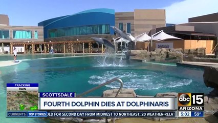 Four dolphins die at Arizona facility in less than two years
