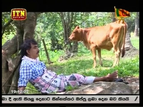 Kopi Kade Teledrama - 1660 - 01st February 2019