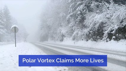 The Polar Vortex Sadly Claims A Number Of Lives
