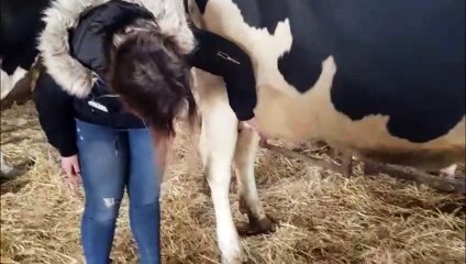 Salon de l'agriculture : comment avoir une bonne note au concours de pointage ?