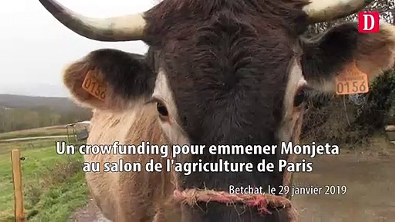 Un crowdfunding pour emmener Monjeta au salon  de l'agriculture de Paris