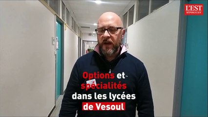 Vesoul : les spécialités et les options dans deux lycées de la ville