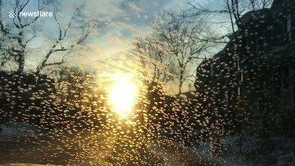 Canadian dad shows his kids cool experiment with crystallising water