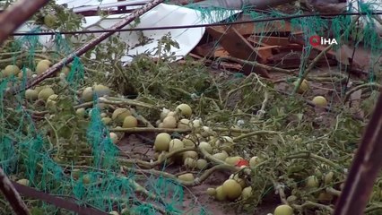 Antalya’da Hortumun Vurduğu Seralarda Servet Yatıyor
