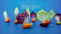 Biber gemi