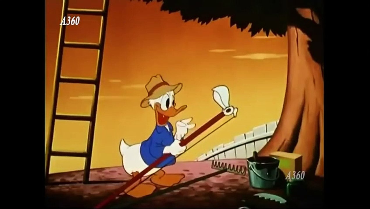 Donald Duck, Chip & Dale and Pluto Funny Video Compilation || Animation 360