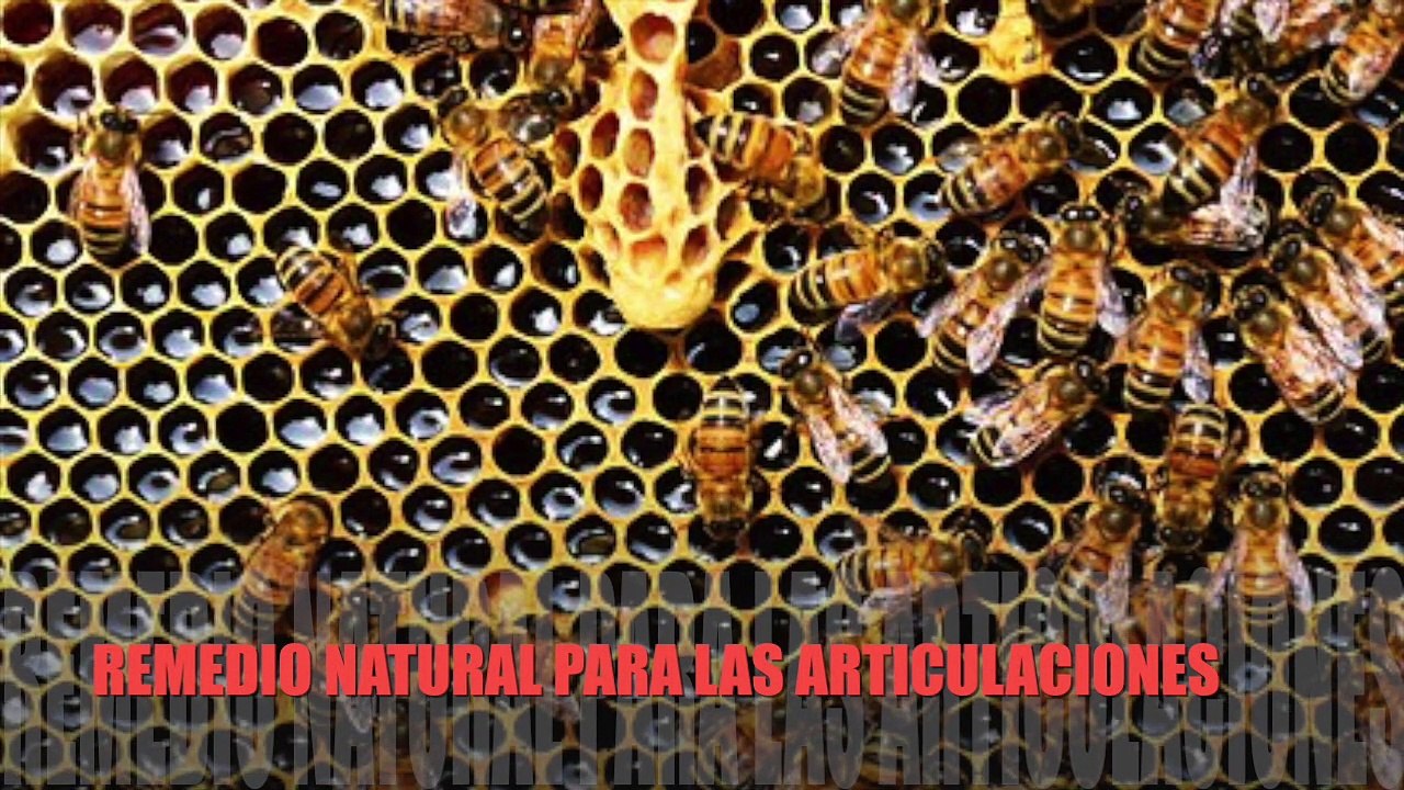 Con este Batido, Vas a Fortalecer los Ligamentos y Tendones de la rodilla