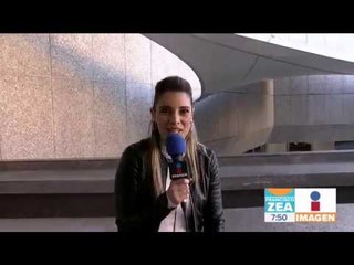 ¿Quieres adoptar una mascota? Conoce a "Tramadol", un hermoso perrito que busca familia | Paco Zea