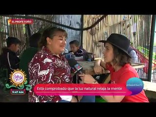 "El Profe Toño" da clases al aire libre | Sale el Sol
