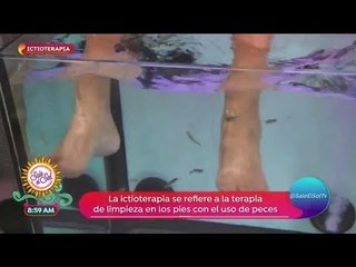 Ictioterapia: consiente a tus pies ¡con peces! | Sale el Sol