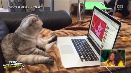 Best of animaux : les images les plus insolites !