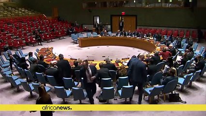 U.N. Security Council to review C.A.R. arms embargo