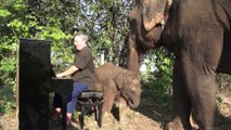Il joue du piano pour les éléphants et ils aiment ça