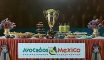 Avocados From Mexico Super Bowl Commercial With Kristin Chenoweth