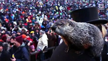 This Day in History: First Groundhog Day (Saturday, February 2nd)