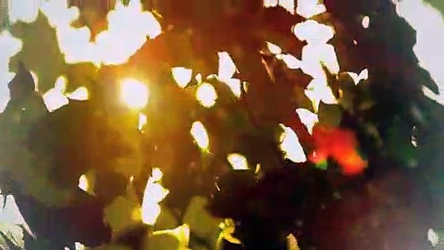 A vendre - Appartement - Bulle (1630) - 4.5 pièces - 105m²