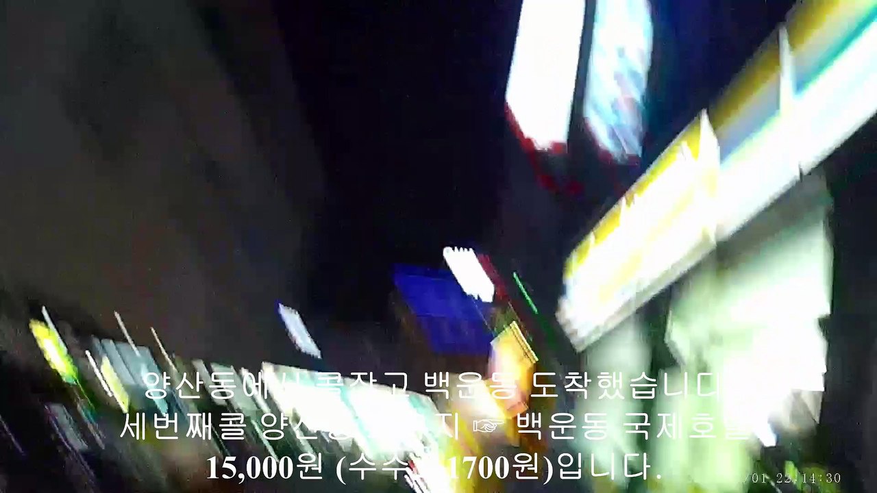 190201 대리 운전