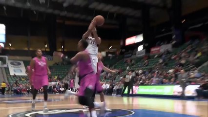Marcus Lee (17 points) Highlights vs. Texas Legends