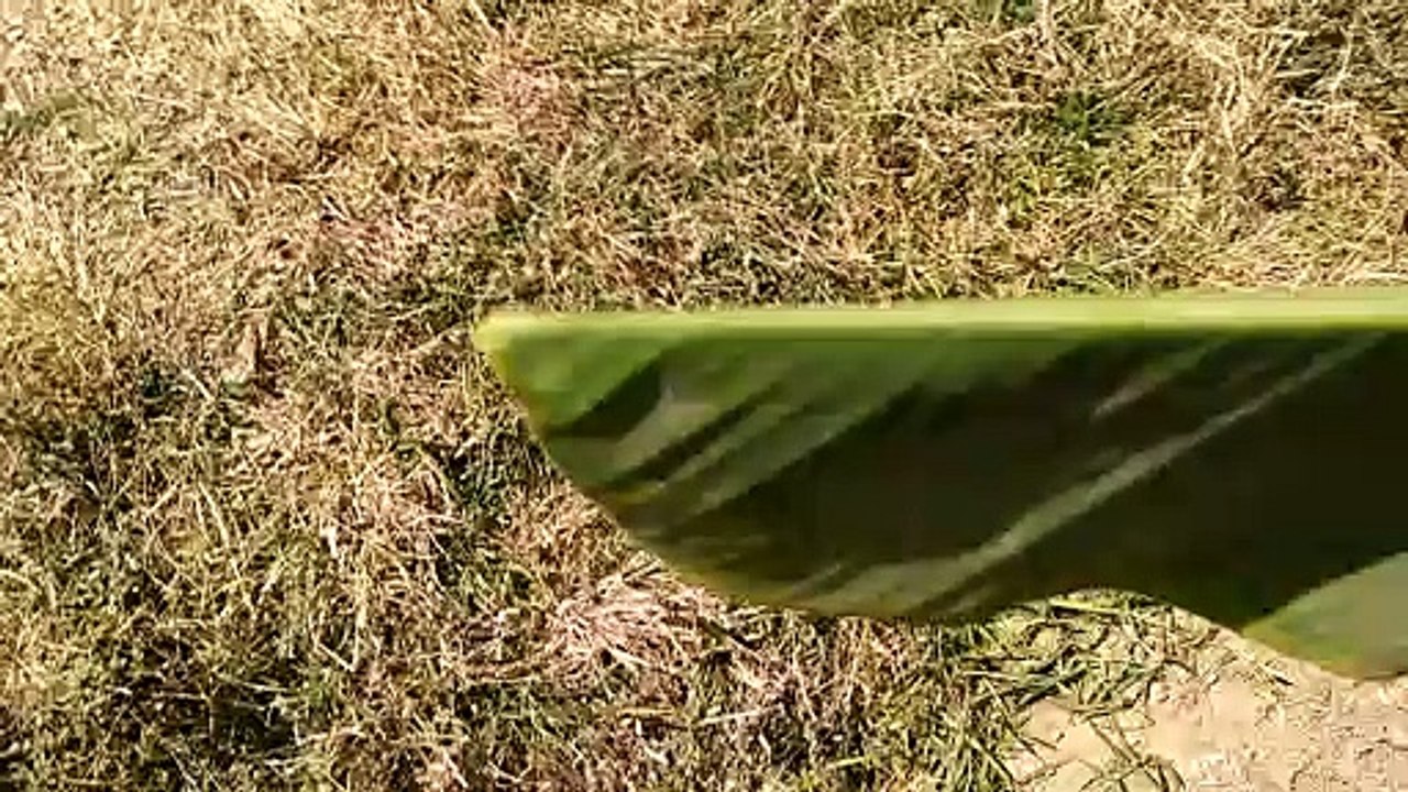 A flower, sometimes known as a bloom or blossom, is the reproductive structure found in flowering plants (plants of the division Magnoliophyta, also called angiosperms). The biological function of a flower is to effect reproduction, usually by providing a