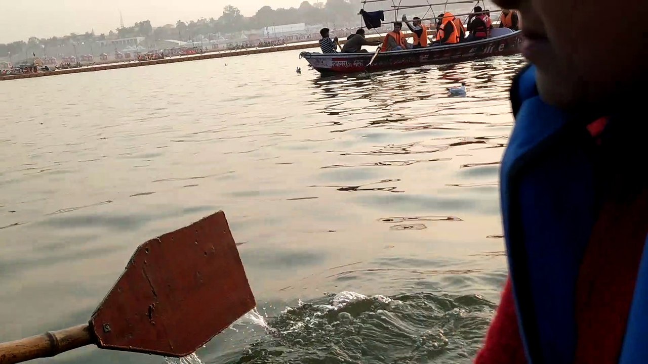 Seagulls in kumbh