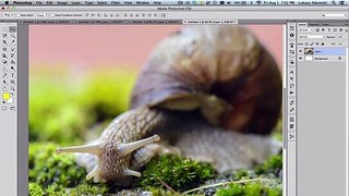 How to use a Sharpen Tool in Photoshop