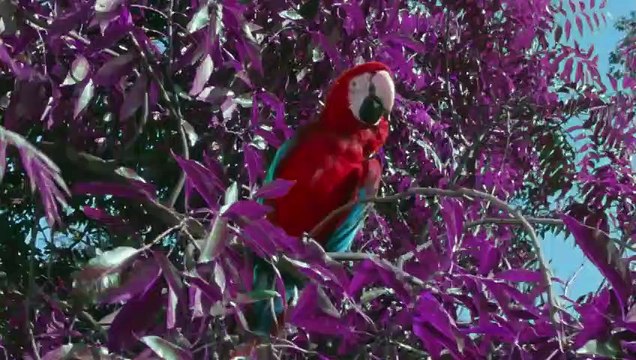 동두천출장안마-{카톡VVV75 }⊀Ö7Ô-7575-0077⊁동두천출장마사지'20대'동두천출장안마출장안마코스동두천출장안마동두천출장맛사지-황제동두천출장맛사지-동두천콜걸.