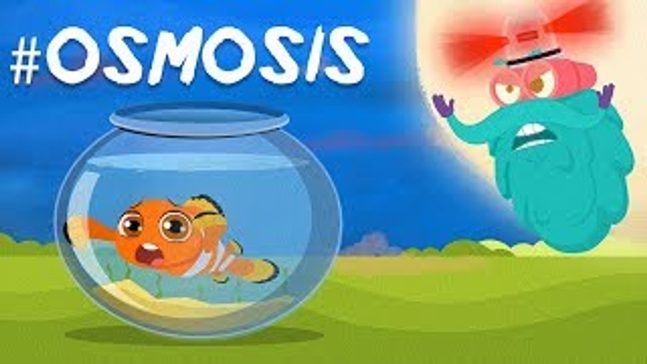 What Is OSMOSIS? | The Dr. Binocs Show | BEST LEARNING VIDEOS For Kids | Peekaboo Kidz