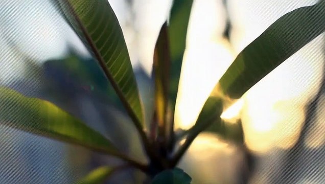 A vendre - Appartement - Bulle (1630) - 3 pièces - 90m²