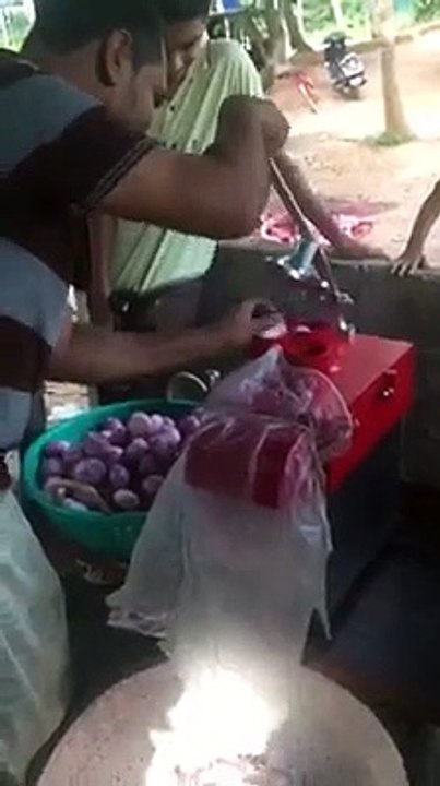 Onion Cutting Machine