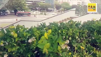 【趴趴走】SPICE顶楼公园