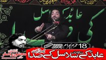 Allama Hafiz Syed Ali Zaigham Rizvi Lahore  18th Muhram 1440(2018) Choti Behak Hafizabad
