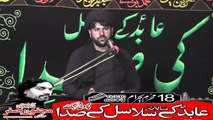 Allama Saleem Abbas Naqvi Qoom Iran 18th Muhram 1440(2018) Choti Behak Hafizabad