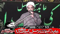 Allama Hassan Jawad Mohsni Qoom Iran 18th Muhram 1440(2018) Choti Behak Hafizabad