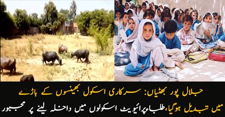 Jalalpur: Government school turned into house cow, students force to take admission in Private schools.