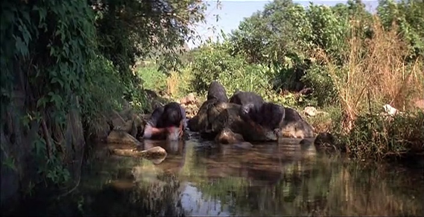 Hurra, die Knochenbrecher sind da (PART 1)